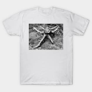 Six-armed Deadwood Bandit T-Shirt